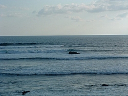 DSCF0023.JPG DSCF0023.JPG