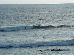 DSCF0024.JPG DSCF0024.JPG