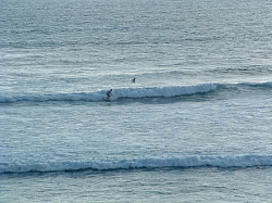 DSCF0025.JPG DSCF0025.JPG