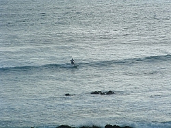 DSCF0026.JPG DSCF0026.JPG