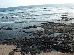 DSCF0027.JPG DSCF0027.JPG