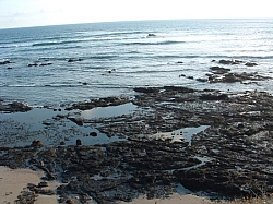 DSCF0028.JPG DSCF0028.JPG