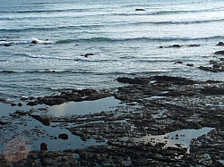 DSCF0029.JPG DSCF0029.JPG