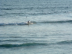 DSCF0030.JPG DSCF0030.JPG