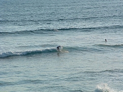 DSCF0031.JPG DSCF0031.JPG