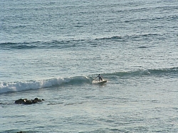 DSCF0032.JPG DSCF0032.JPG