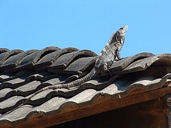 DSCF0033.JPG DSCF0033.JPG