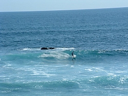 DSCF0035.JPG DSCF0035.JPG