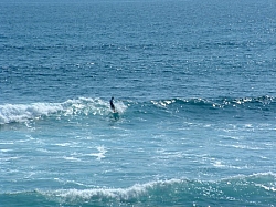 DSCF0036.JPG DSCF0036.JPG