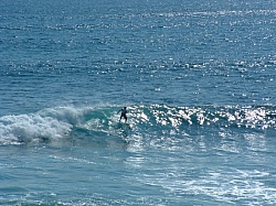 DSCF0037.JPG DSCF0037.JPG