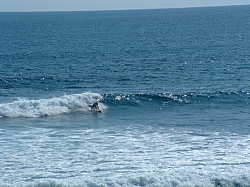 DSCF0038.JPG DSCF0038.JPG