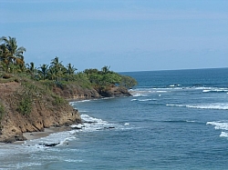 DSCF0039.JPG DSCF0039.JPG