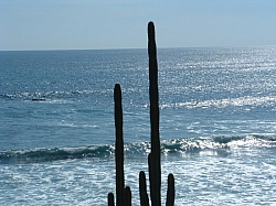 DSCF0040.JPG DSCF0040.JPG