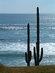 DSCF0041.JPG DSCF0041.JPG