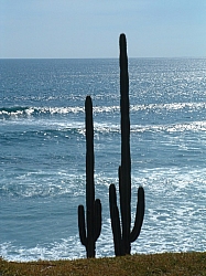 DSCF0042.JPG DSCF0042.JPG