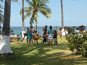 KiddieVisit_w800.jpg KiddieVisit_w800.jpg