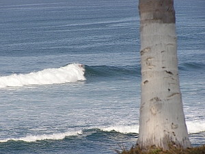 P1010016.JPG